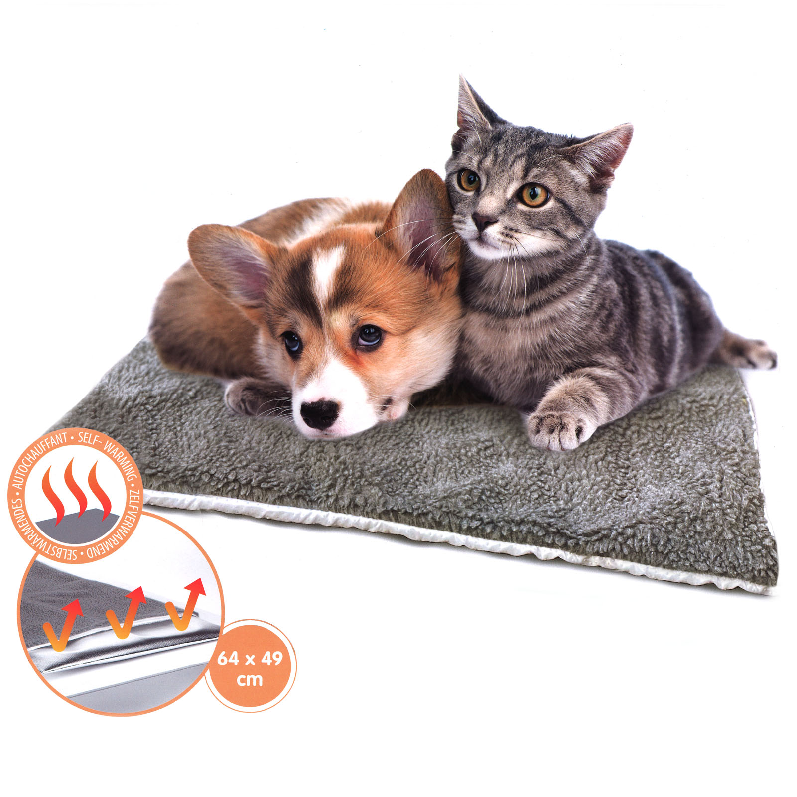 Tutto sul tappetino autoriscaldante per cani e gatti - ArcaMagazine