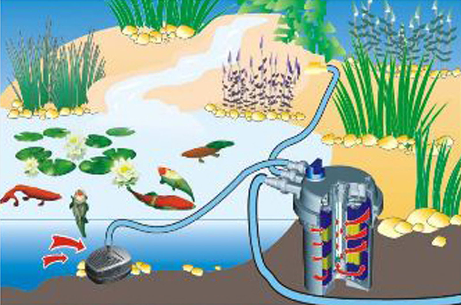 Filtre biologique de bassin à pression pour bassin jusqu'à 30000L - Lampe  UV18W